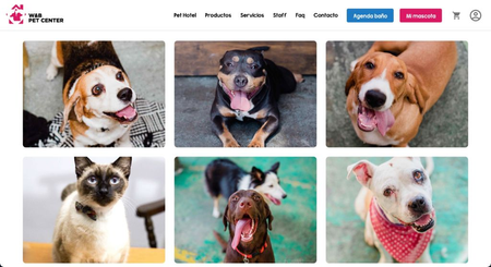 A screenshot of https://www.wbpetcenter.com/