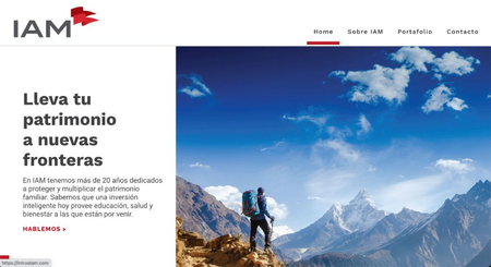 A screenshot of https://intrustam.com