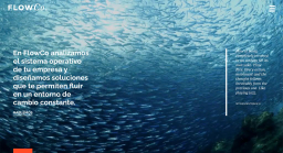 A screenshot of https://www.flowco.mx/