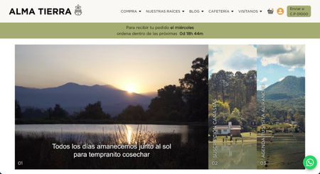 A screenshot of https://www.almatierra.mx/